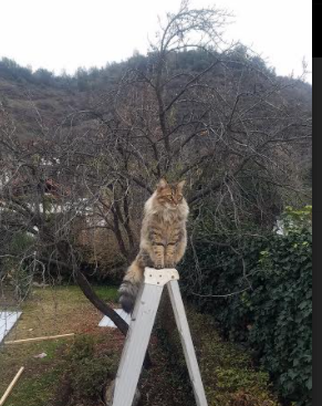 CBA赛季焦点赛事精彩纷呈，cba2021-2022全场回放