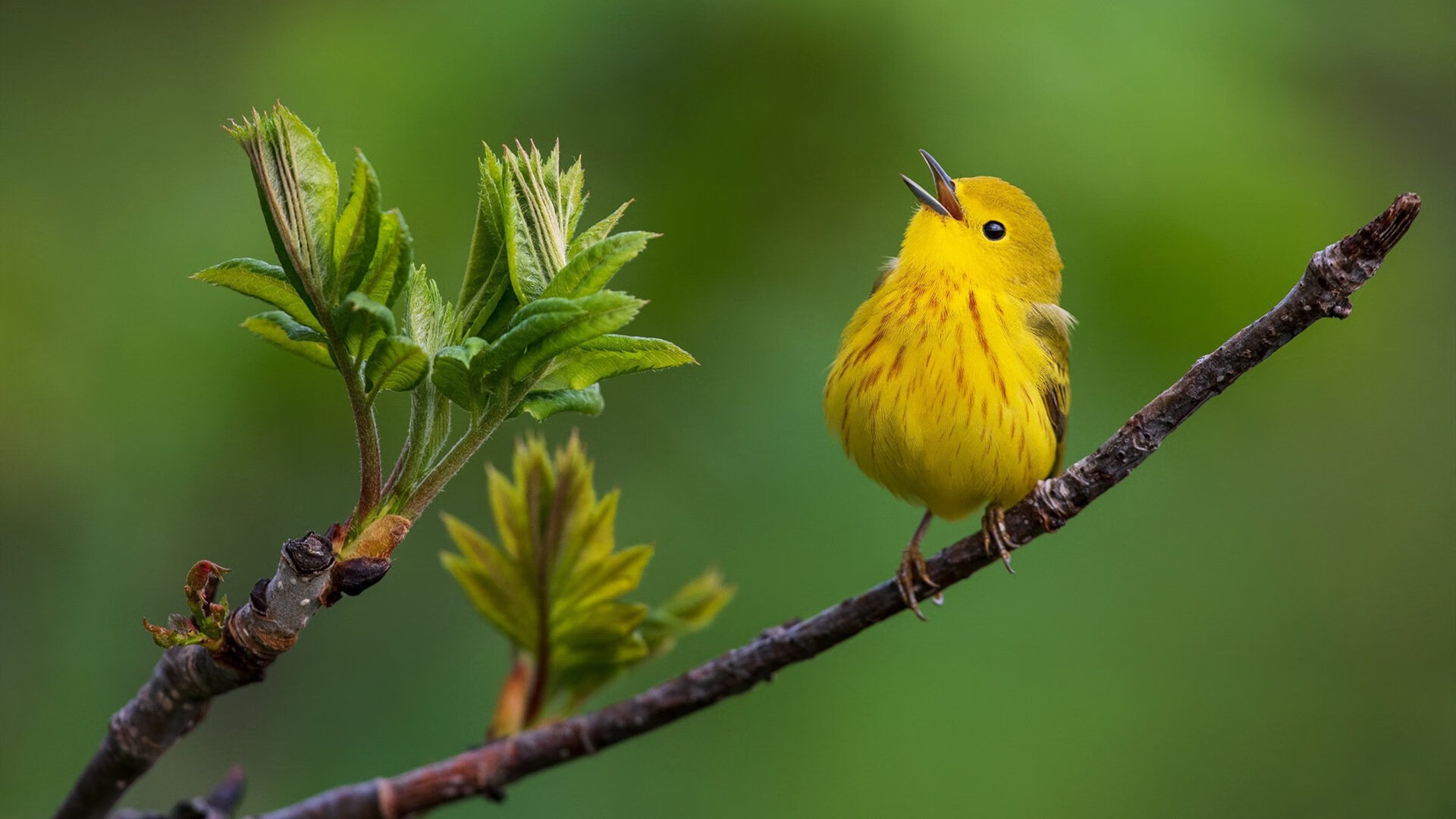 中国足球迎战世界杯预选赛 激烈对决引爆全场,中国足球队世界杯预选赛战况