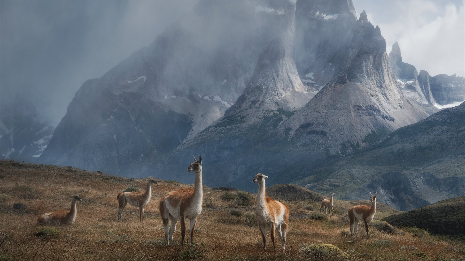 九游登录入口-奥预赛中国队战平 球迷期待球队反弹，奥预赛在哪里举行