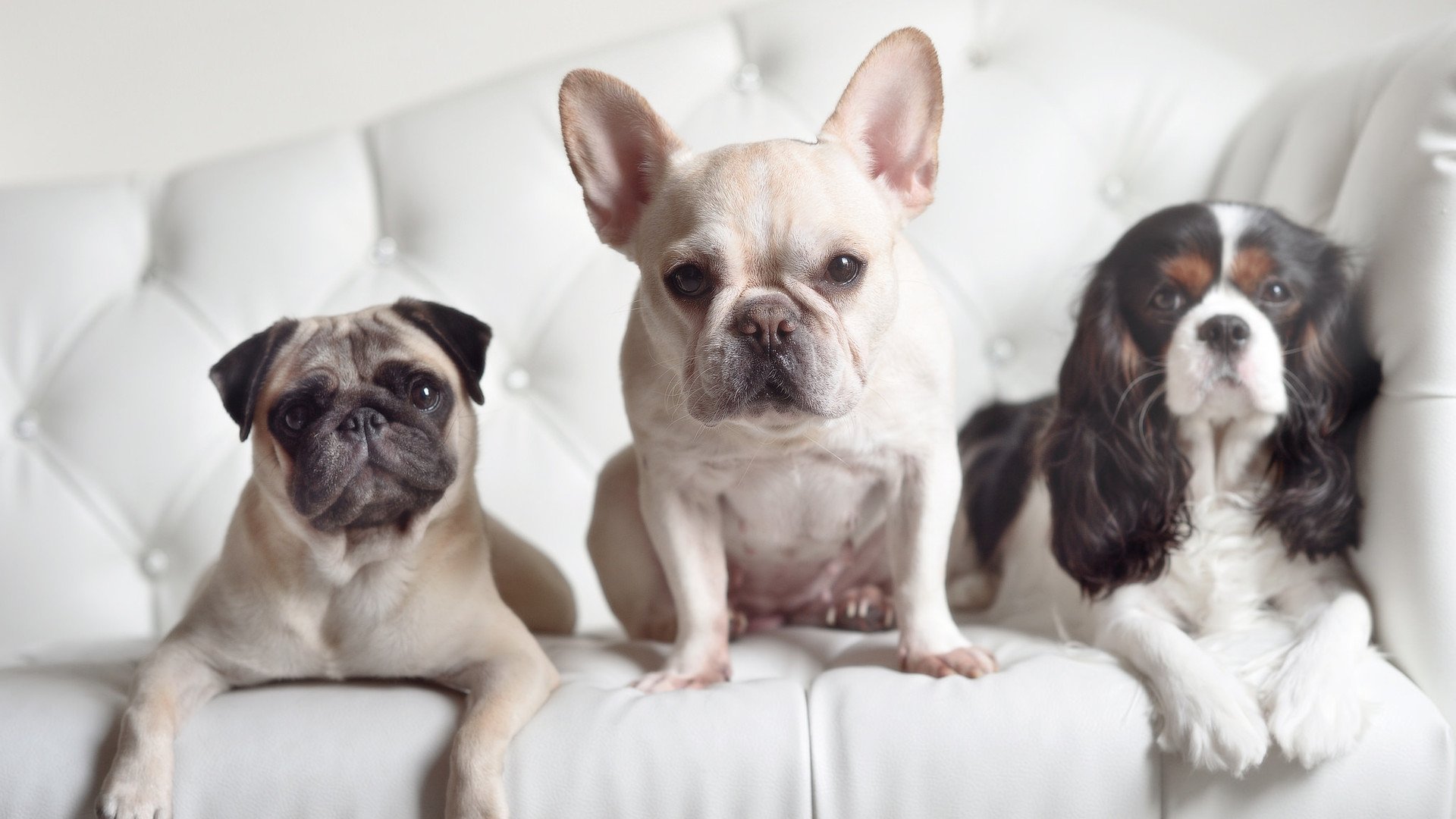 游泳名将汪顺赛季最佳成绩摘金，游泳冠军汪顺个人资料