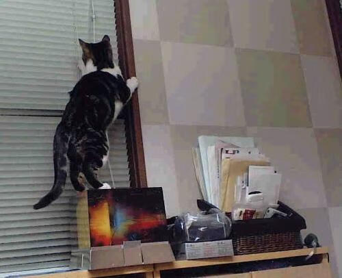 -赫塔菲整体推进节奏统一形成攻防一体，赫塔菲队员