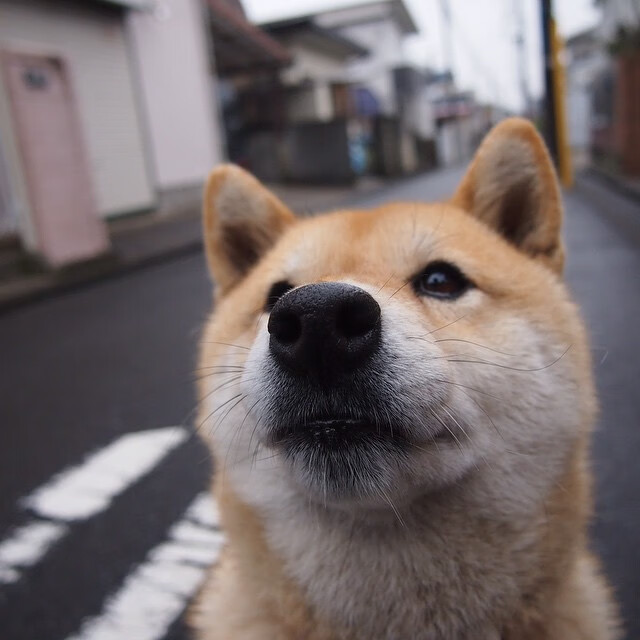 赫塔菲整体推进节奏统一形成攻防一体，赫塔菲队员