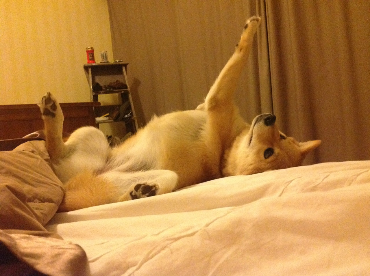 世界杯激情不断:每场都精彩绝伦!,世界杯激动人心时刻