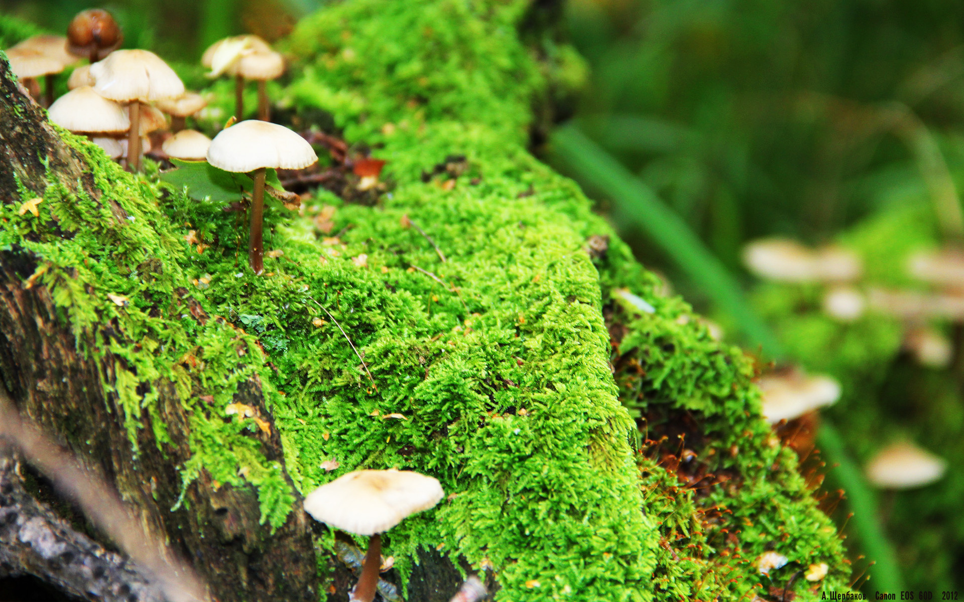 九游游戏中心-中国足球青训项目拓展进校园足球计划，中国足球青训体系现状