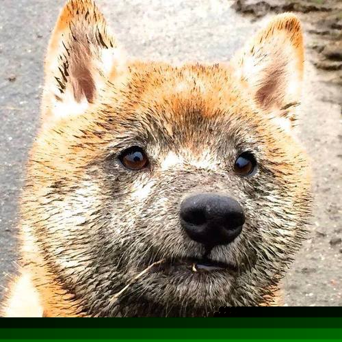 九游下载安装-伊利亚·哈伦男子100米蝶泳决赛惊艳亮相，男子100米蝶泳 盖伊