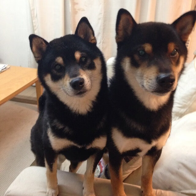 勇士新秀完成签约家人现场见证激动落泪,2020nba勇士新秀