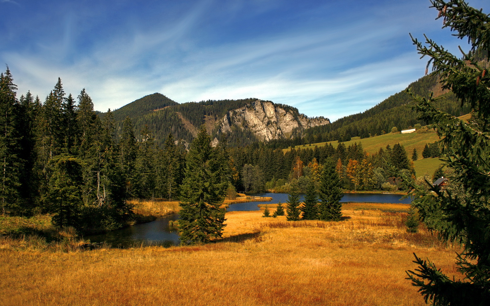 国王主教练强调保持进攻节奏是关键,国王现在的主教练