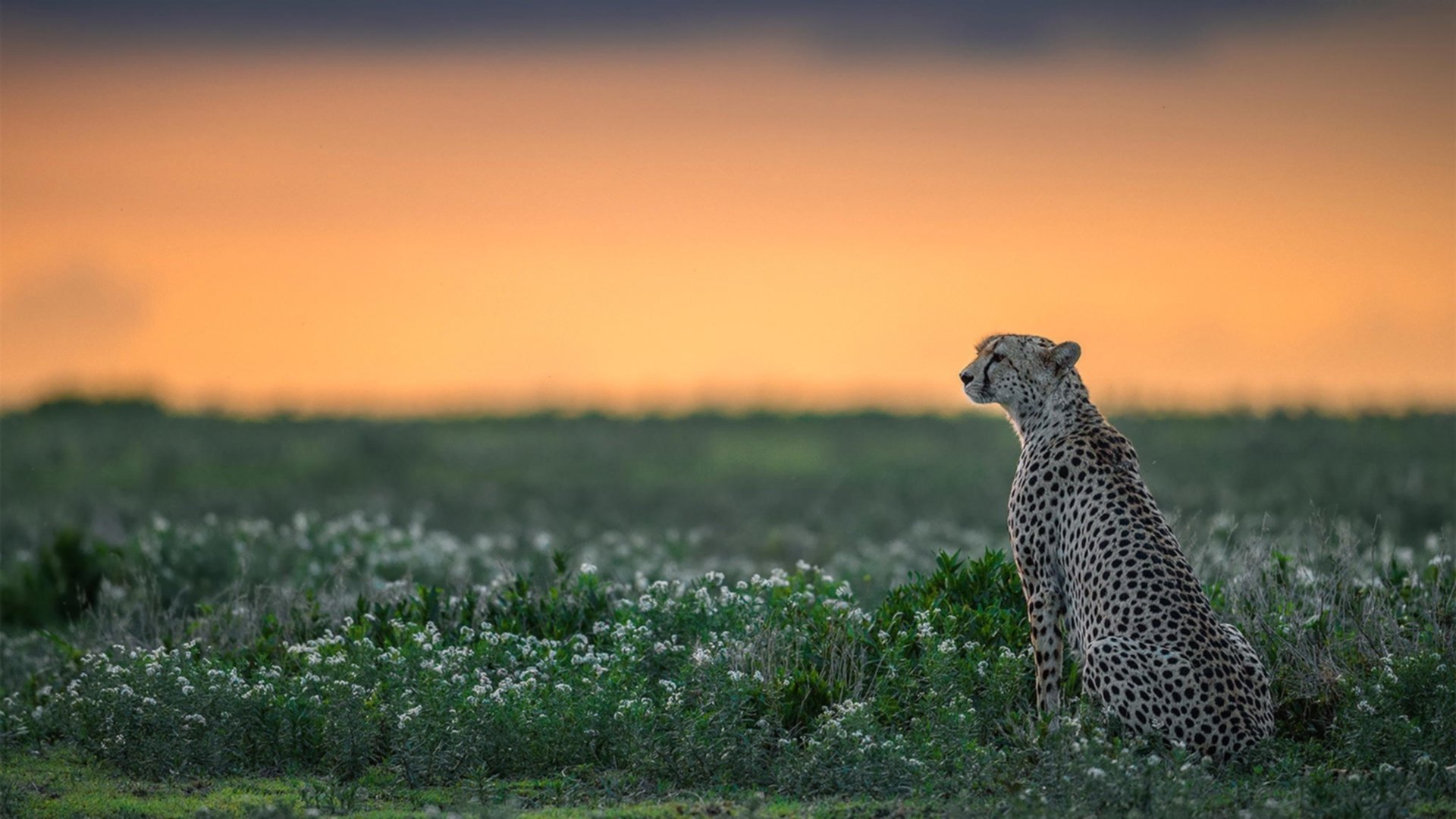 场地条件影响技术发挥,场地条件影响技术发挥的原因