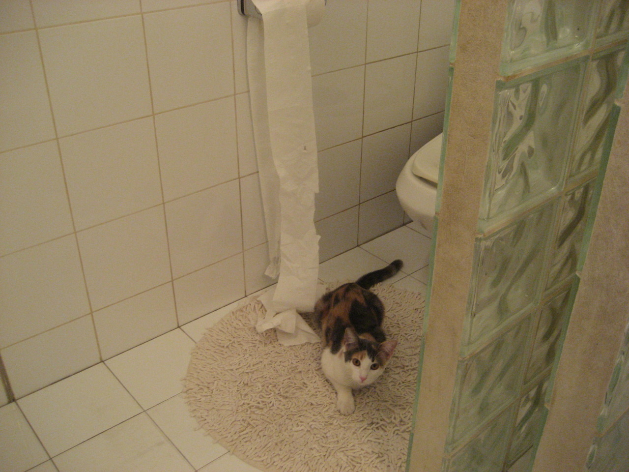 欧洲杯的赛事安全保障体系，欧洲杯赛制改革