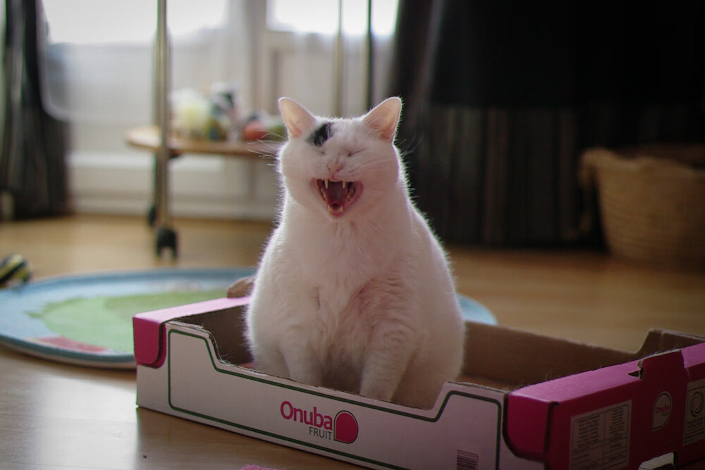 瑞·弗兰:凭借强大的爆发力,他成为了全黑队进攻中的威胁存在