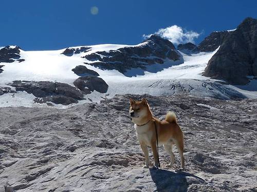 西甲青春风潮：新星崭新登场！，西甲青年联赛