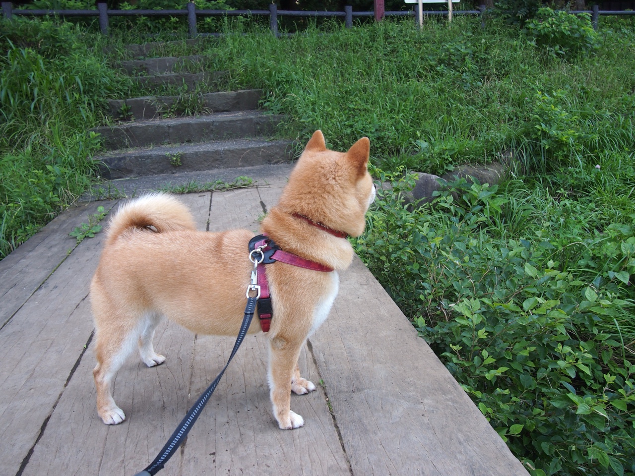 训练中心设立技能评比日强化球员间良性竞争氛围,技能训练方案怎么写